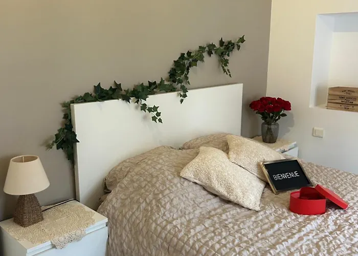 Ferienhaus Maison Avec Jacuzzi Privatif